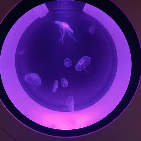 شقة Legerova براغ